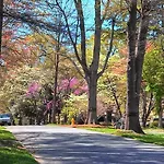 Comfortable 1Br Myers Park Oasis